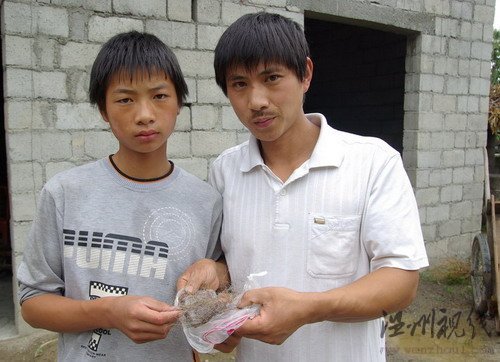 神農架采藥山民拾獲不明動物毛發(組圖)