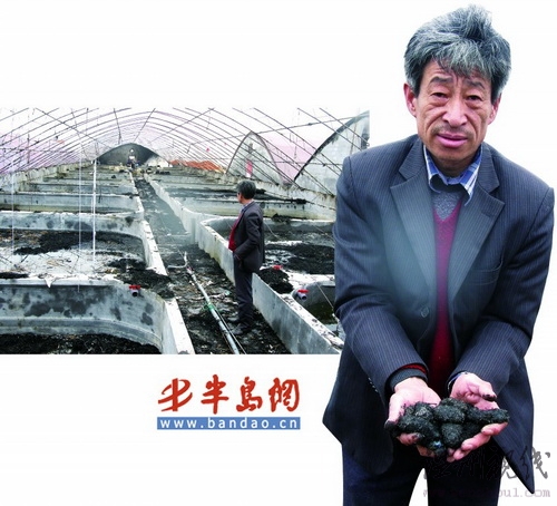 養殖戶7千余斤海參苗被燒懷疑有人故意縱火(圖)
