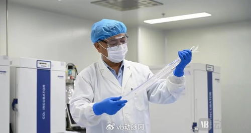 國產生物型人工血管獲創新通道認可，心血管治療迎來新突破