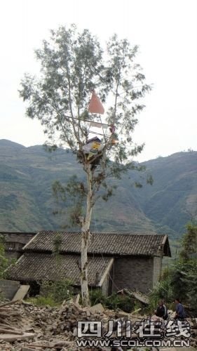樹枝上掛著一個喇叭，陳茂國每天高聲放著喇叭給村民“宣講”政策