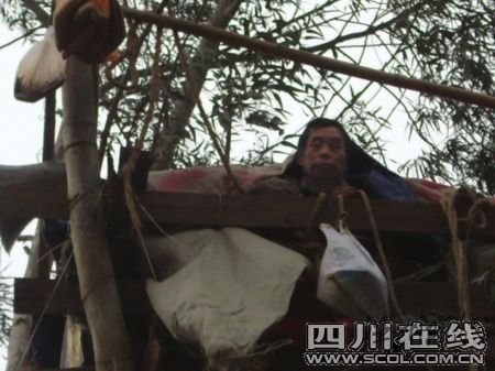 陳茂國在15米高的桉樹上“安營扎寨”(網(wǎng)友供圖)