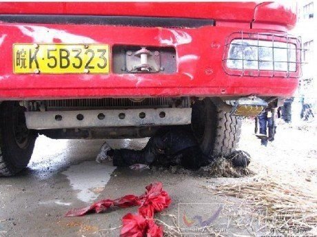 浙江樂清一村長遭撞死 傳被5人按住由車碾壓
