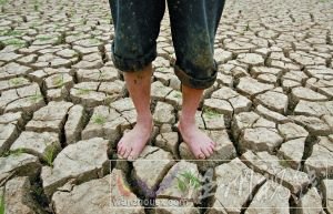 5月21日，一名農民站在開裂的魚塘地面上。連日的干旱使得武漢江夏區山坡鄉養魚人的池塘干涸。張朋