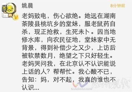 “微博女王”姚晨曝親戚因不滿征地補償自殺