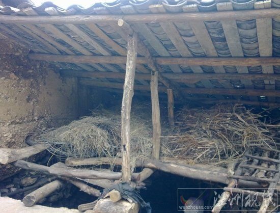 云南高院副院長：“賽家鑫”案十年后將成標(biāo)桿