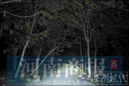 暴雨致隴海鐵路3處路堤流塌 部分列車(chē)晚點(diǎn)(圖)