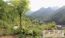 揭開(kāi)“中華養(yǎng)生保健