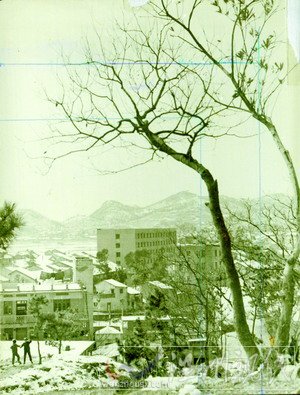 曾入選亞太地區(qū)民歌集——憶溫州民歌《叮叮當(dāng)》