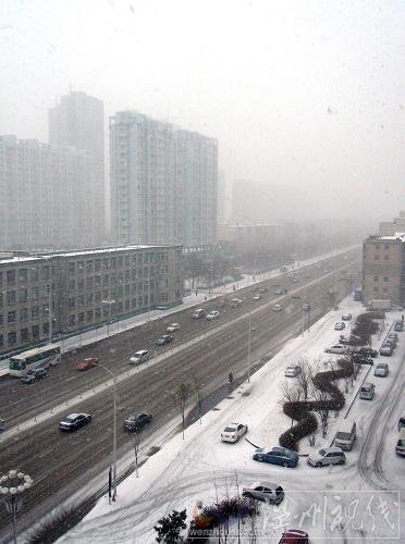 沈陽今日降雪圖片