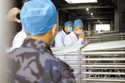 歸真堂再開放參觀者跪拜謝罪 微博遭數萬人咒罵
