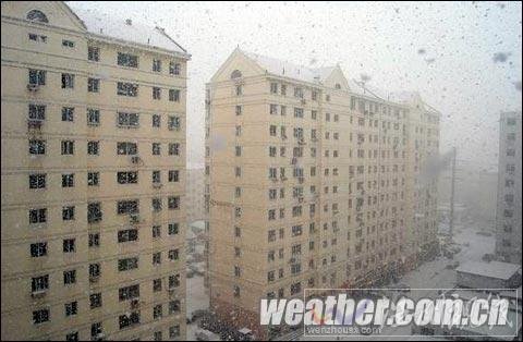 山東半島雪花飛舞 威海北部已出現道路結冰