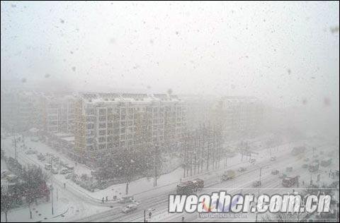山東半島雪花飛舞 威海北部已出現道路結冰