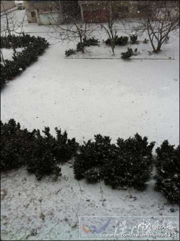 山東近期持續(xù)低溫降雪 蔬菜價(jià)格上揚(yáng)
