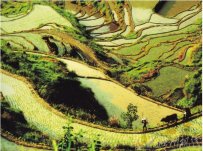 云中大漈景區 浙江省