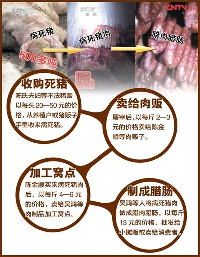 央視截屏本報制圖何將