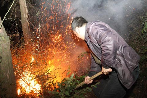 湖南漣源發(fā)生森林大火 過火面積近200畝(圖)