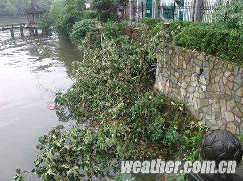 強降雨導致杭州河堤坍塌