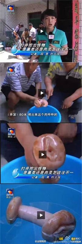 女記者誤將自慰器認作肉靈芝
