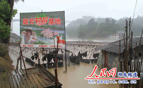 26日強(qiáng)降雨襲擊湘西北 湖南已啟動(dòng)防汛四級(jí)響應(yīng)