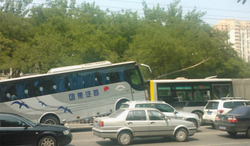 長(zhǎng)虹橋車禍