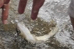 杭州暴雨致積水嚴重 6月