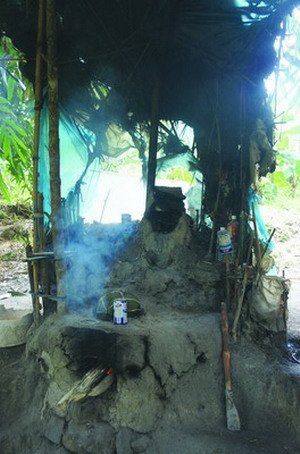 福建南靖“野人”獨居樹上12年 4塊木板做床鋪