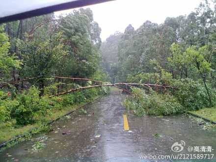 微博直擊臺風“韋森特”（滾動）