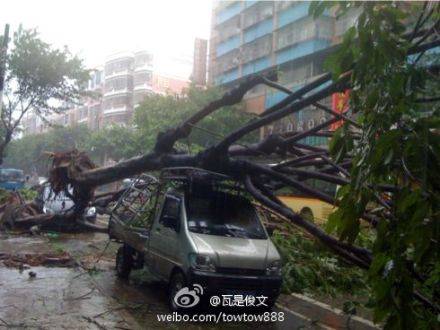 微博直擊臺風“韋森特”（滾動）