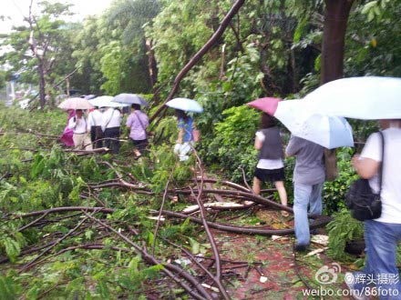 臺風韋森特