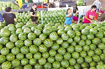 溫州水果市場(chǎng)