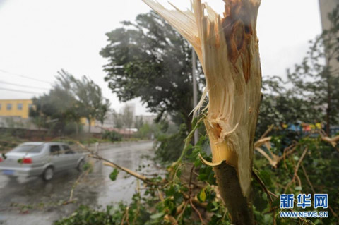 布拉萬(wàn)北上侵襲 吉林省多地遭遇強(qiáng)風(fēng)雨