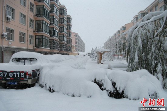 張家口蔚縣暴雪