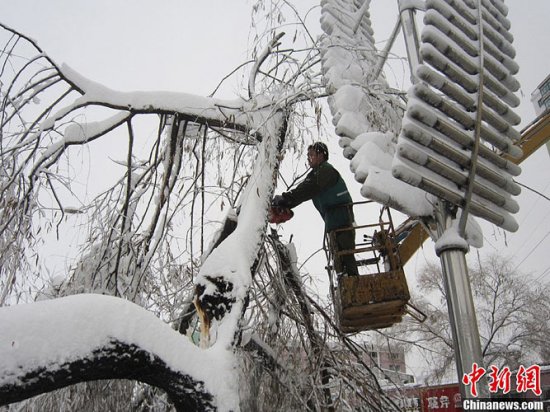 黑龍江鶴崗暴雪