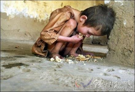 中國每年浪費的糧食700億斤