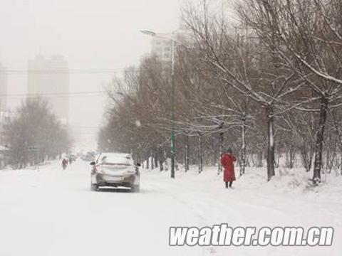 黑龍江三月飄雪