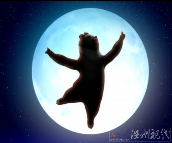 國(guó)產(chǎn)動(dòng)漫熊出沒73集 扭秧歌