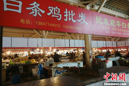 江蘇新確診2例人感染H7N9禽流感