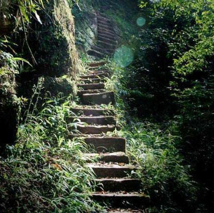 重慶愛(ài)情天梯旅游景點(diǎn)