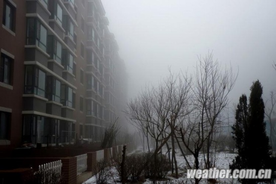 沈陽霧霾天氣