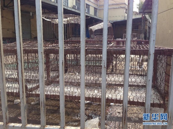 4月6日起南京全市關閉所有活禽交易市場