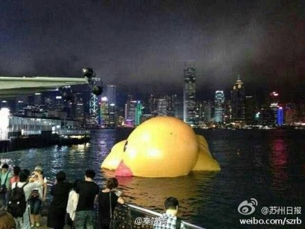 香港大黃鴨漏氣