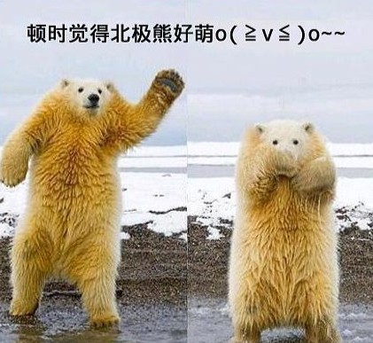 沒脖子神獸