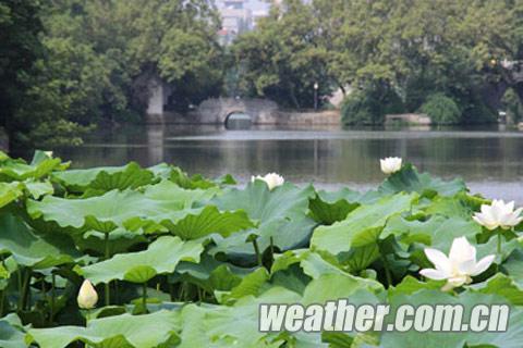安徽2日氣溫將破38℃ 未來三天北部多短時(shí)雷陣雨
