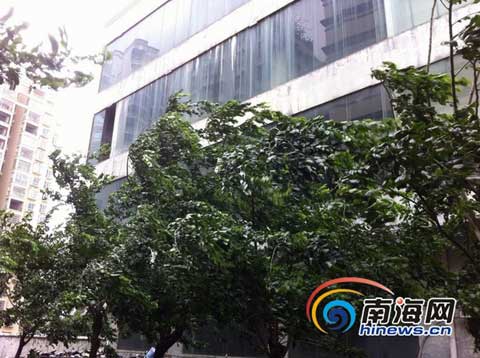2013海南臺(tái)風(fēng)飛燕預(yù)報(bào)