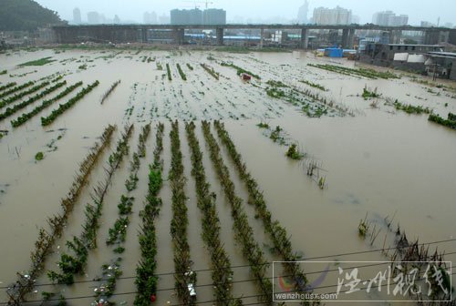 西市安定區(qū)暴雨災(zāi)情