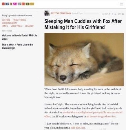 男子誤把狐貍當(dāng)女友