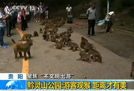 男嬰睪丸被猴子吞食