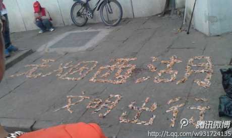 景區(qū)不文明現(xiàn)象之西湖煙蒂