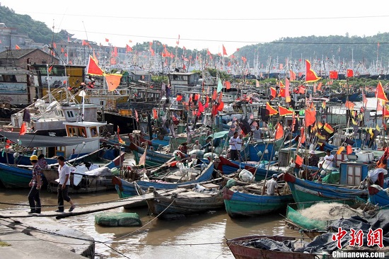 臺(tái)風(fēng)菲特給浙江沿海帶來10級(jí)大風(fēng) 臺(tái)州300余艘船舶進(jìn)港避風(fēng)