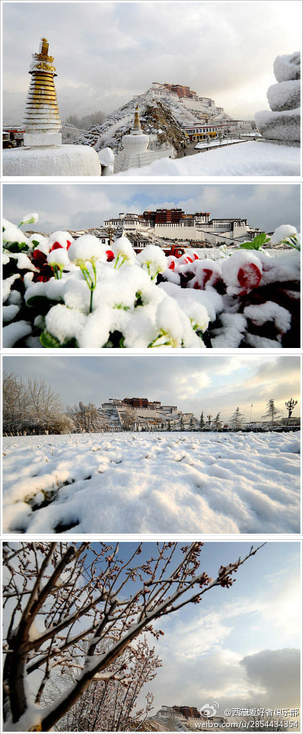 2013年拉薩第一場(chǎng)雪 布達(dá)拉宮雪景